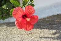 IMG_3255 &ndash; &copy; Franziska Bergmann (Eberhardt TRAVEL)