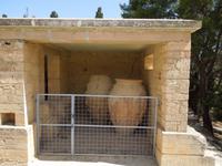 Knossos &ndash; &copy; Stefanie Schneider (Eberhardt TRAVEL)