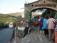 Tavernenabend &ndash; &copy; Stefanie Schneider (Eberhardt TRAVEL)