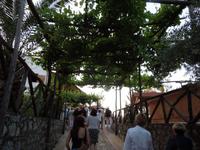 Tavernenabend &ndash; &copy; Stefanie Schneider (Eberhardt TRAVEL)