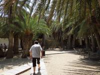 Palmenstrand Vai &ndash; &copy; Stefanie Schneider (Eberhardt TRAVEL)