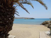 Palmenstrand Vai &ndash; &copy; Stefanie Schneider (Eberhardt TRAVEL)