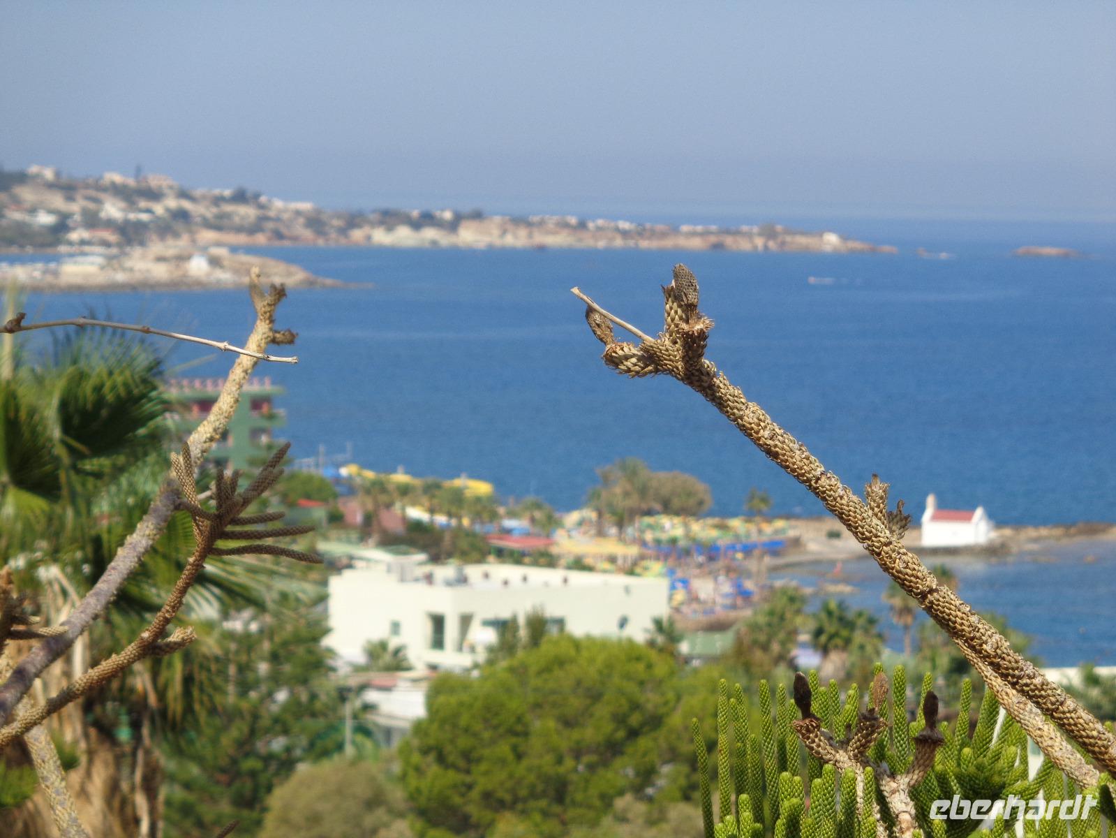 Hersonissos &ndash; &copy; Barbara Mihut (Eberhardt TRAVEL)