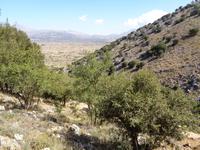 Lassithi-Hocheben &ndash; &copy; Barbara Mihut (Eberhardt TRAVEL)