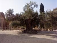 Gortys &ndash; &copy; Barbara Mihut (Eberhardt TRAVEL)
