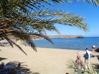 Palmenstrand Vai