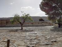 Tag 1: Knossos  &ndash; &copy; Carina Henn (Eberhardt TRAVEL)