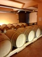Tag 3: Weingut Zacharioudakis &ndash; &copy; Carina Henn (Eberhardt TRAVEL)