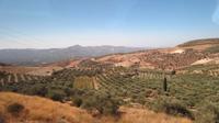 Messara- Ebene &ndash; &copy; Petra Sauer (Eberhardt TRAVEL)
