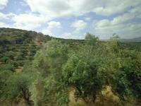 041 Fahrt nach Heraklion &ndash; &copy; Karolin Kühn (Eberhardt TRAVEL)