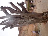 171 Kloster Arkadi &ndash; &copy; Karolin Kühn (Eberhardt TRAVEL)