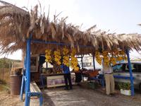 229 Palmenstrand Vai &ndash; &copy; Karolin Kühn (Eberhardt TRAVEL)