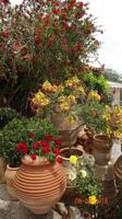 Frühling auf Kreta (2) &ndash; &copy; Nadja Klinkhardt (Eberhardt TRAVEL)
