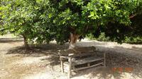 Zeit zum genießen auf Kreta &ndash; &copy; Nadja Klinkhardt (Eberhardt TRAVEL)