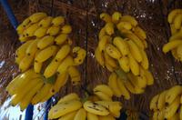 Bananenstand &ndash; &copy; Juliane Schwarze (Eberhardt TRAVEL)