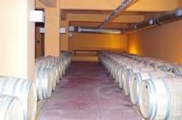 Weingut Zachriaoudakis &ndash; &copy; Juliane Schwarze (Eberhardt TRAVEL)