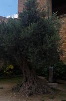 Kloster Arkadi &ndash; &copy; Juliane Schwarze (Eberhardt TRAVEL)