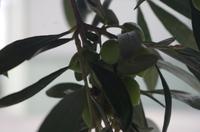 Gut Vassilakis &ndash; &copy; Juliane Schwarze (Eberhardt TRAVEL)