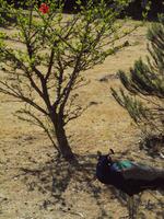 Filerimos &ndash; &copy; Juliane Voigt (Eberhardt TRAVEL)