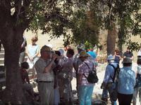 Eberhardt Travel Reisegäste auf der Akropolis &ndash; &copy; Juliane Voigt (Eberhardt TRAVEL)