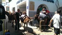 Lindos &ndash; &copy; Juliane Voigt (Eberhardt TRAVEL)