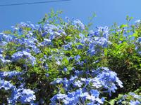 Rhodos - Insel Simy &ndash; &copy; Franziska Bergmann (Eberhardt TRAVEL)