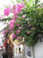Rhodos - Lindos &ndash; &copy; Franziska Bergmann (Eberhardt TRAVEL)