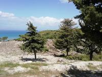 Kamiros &ndash; &copy; Martina Pötschke (Eberhardt TRAVEL)
