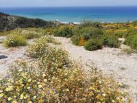 Kamiros &ndash; &copy; Martina Pötschke (Eberhardt TRAVEL)