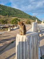 Türkei - Ephesos &ndash; &copy; Katrin Deutschbein (Eberhardt TRAVEL)