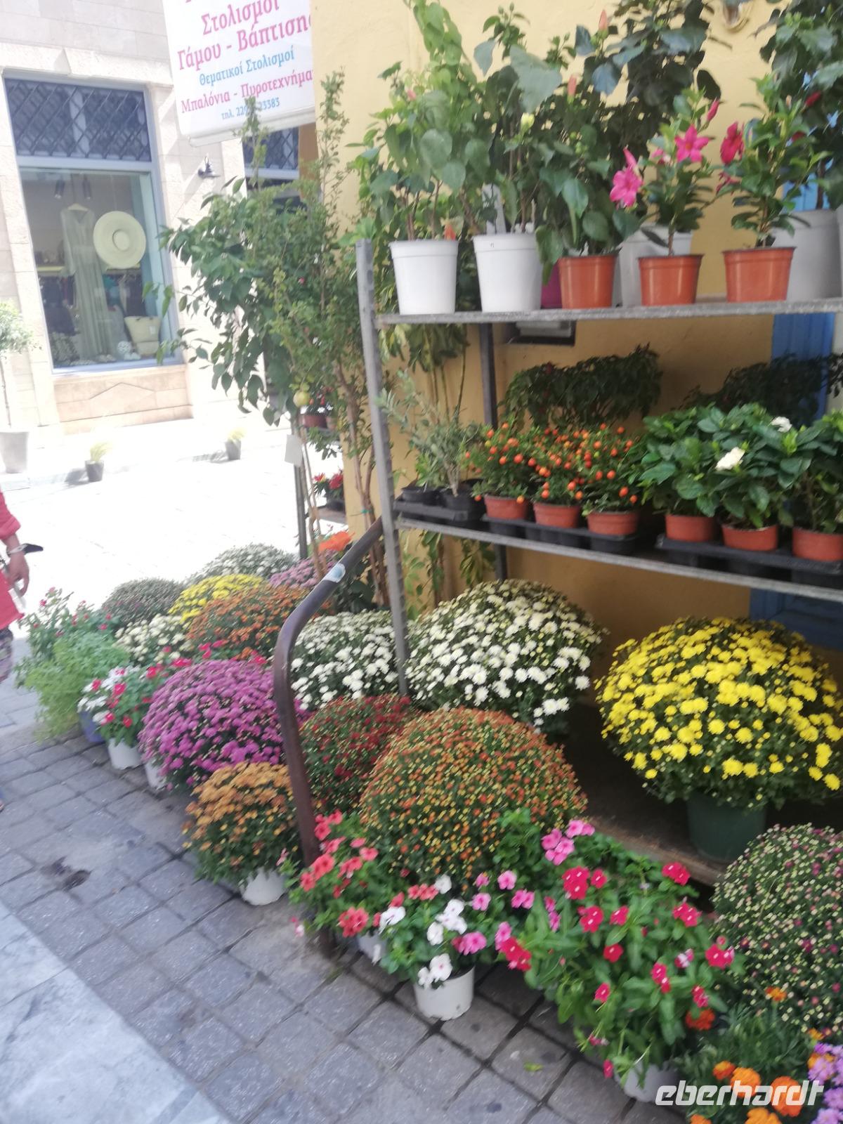 Ort Ägina, Blumenarrangements &ndash; &copy; Elena Hinz (Eberhardt TRAVEL)