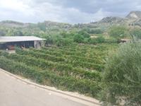 Weingut Olympia Land Winery &ndash; &copy; Elena Hinz (Eberhardt TRAVEL)