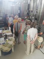 Führung in der Olympia Land Winery &ndash; &copy; Elena Hinz (Eberhardt TRAVEL)