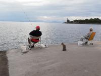 3 Angler in Gythion &ndash; &copy; Elena Hinz (Eberhardt TRAVEL)