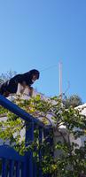 Paros - Rundgang durch das Dorf Maripissa &ndash; &copy; Jacob Spangenberg (Eberhardt TRAVEL)
