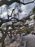 Promenade in Kymi 1 &ndash; &copy; Ute Solf (Eberhardt TRAVEL)
