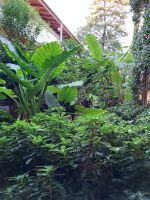 Resort Negroponte 3 &ndash; &copy; Ute Solf (Eberhardt TRAVEL)