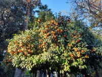 Nationalgarten &ndash; &copy; Katrin Deutschbein (Eberhardt TRAVEL)