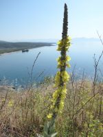 Schiffswrack &ndash; &copy; Georg Berger (Eberhardt TRAVEL)