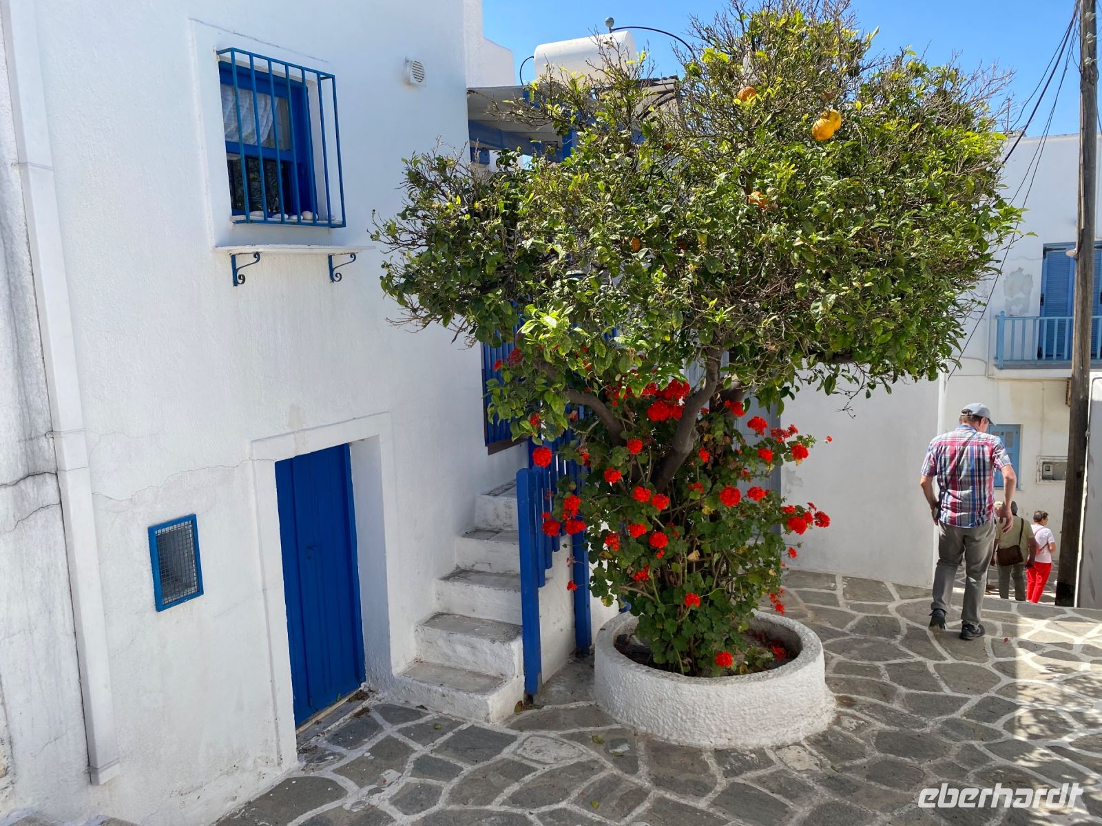 Parikia - Paros &ndash; &copy; Daniela Paulan (Eberhardt TRAVEL)