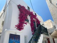 Mykonos &ndash; &copy; Daniela Paulan (Eberhardt TRAVEL)
