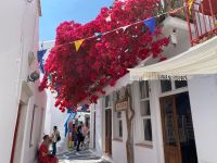  Mykonos &ndash; &copy; Daniela Paulan (Eberhardt TRAVEL)