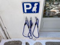 Hundeparkplatz &ndash; &copy; Daniela Paulan (Eberhardt TRAVEL)