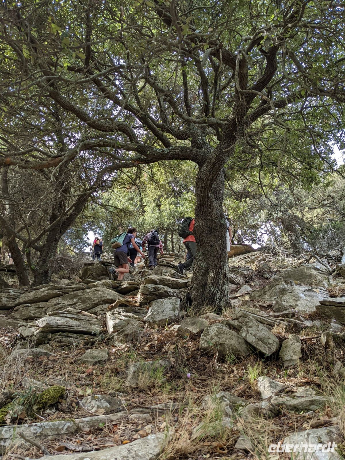 055 Wanderung Drachenhäuser &ndash; &copy; Teresa Rumpel (Eberhardt TRAVEL)