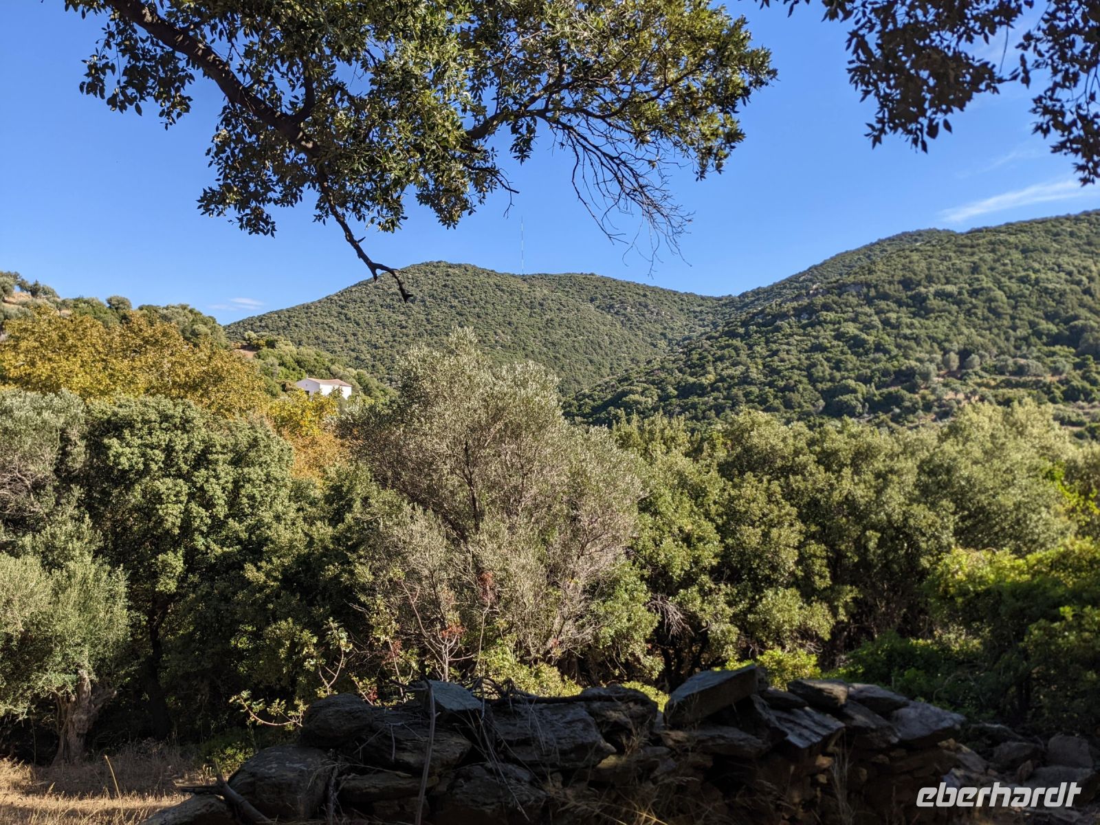 064 Wanderung Kellia &ndash; &copy; Teresa Rumpel (Eberhardt TRAVEL)