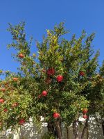069 Wanderung Kellia &ndash; &copy; Teresa Rumpel (Eberhardt TRAVEL)