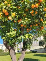 Athen Zentrum &ndash; &copy; David Faatz (Eberhardt TRAVEL)