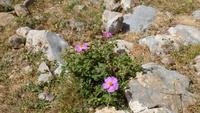 P1080782 &ndash; &copy; Doreen Gerlach (Eberhardt TRAVEL)