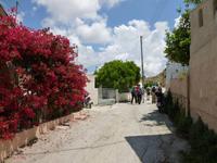 P1090049 &ndash; &copy; Doreen Gerlach (Eberhardt TRAVEL)