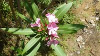 P1090053 &ndash; &copy; Doreen Gerlach (Eberhardt TRAVEL)